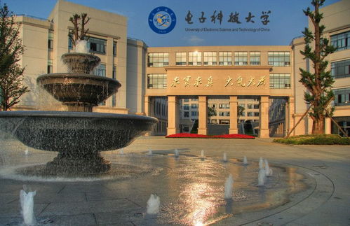 坚持就是胜利 电子科技大学强势上岸学姐经验贴